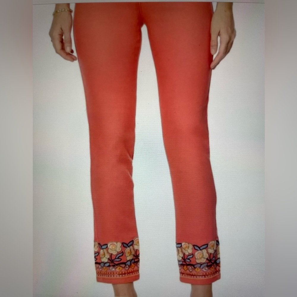 NWT. DG2 by Diane Gilman Embroidered jeans